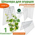Шпалера для огурцов и гороха Двойная 1,5м * 0,8м, ячейка 10*10, металл, сдвоенный усилитель